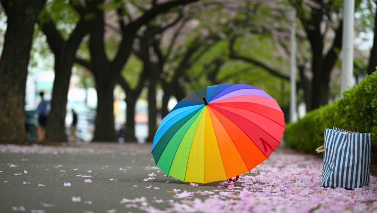 El paraguas existe desde hace miles de a&ntilde;os, pero no se utiliz&oacute; como forma de protecci&oacute;n hasta mucho m&aacute;s tarde.