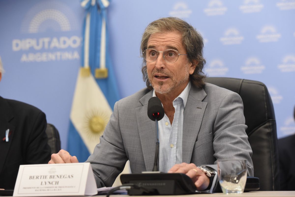 Alberto Benegas Lynch, presidente de la comisi&oacute;n de presupuesto de la C&aacute;mara de Diputados.