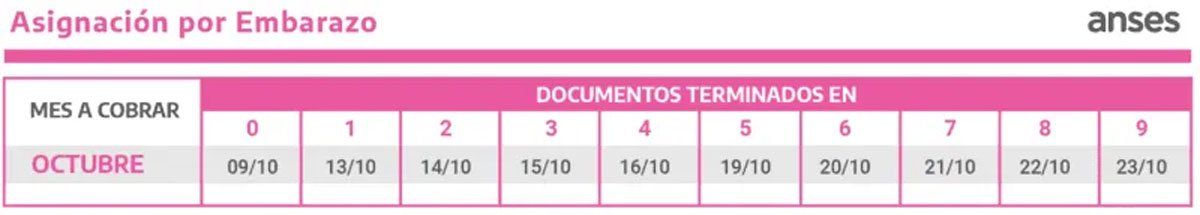 AUE y AUH octubre 2020: cuándo y cuánto cobro por ANSES con o sin IFE