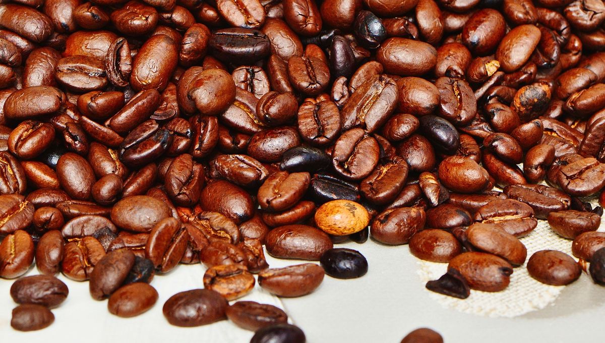 Es un alimento sano y nutritivo con enormes beneficios para la salud. Es un alimento sano y nutritivo con enormes beneficios para la salud.