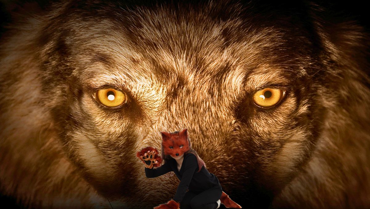 Therian lobo. Therian lobo.