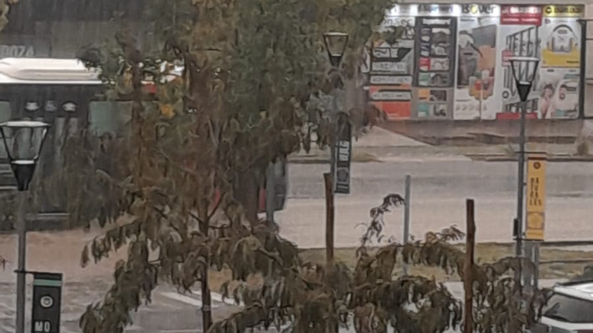 Pronóstico del tiempo en Mendoza se espera un marcado descenso de la