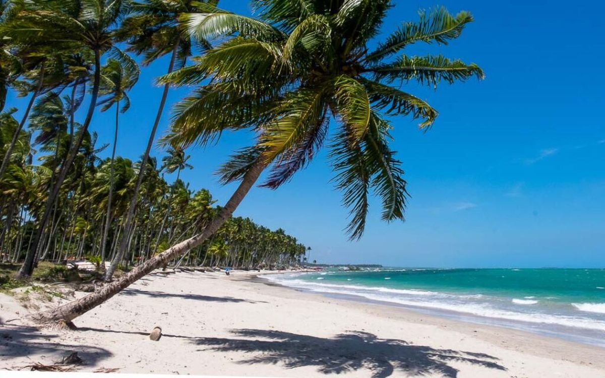 Brasil tiene múltiples playas para visitar en vacaciones. Imagen: Pexels. Brasil tiene múltiples playas para visitar en vacaciones. Imagen: Pexels.