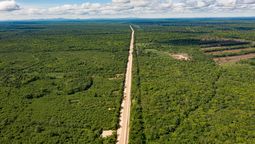 La construcción de una ruta en América del Sur provoca una gran alerta científica