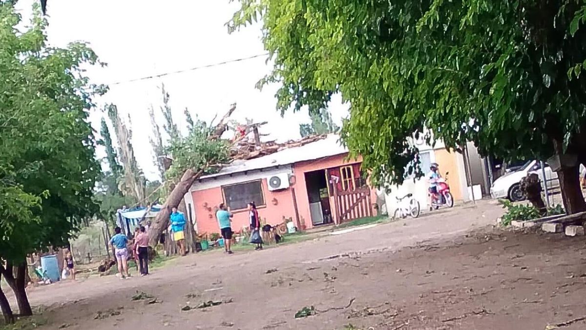 En la imagen se puede ver, de lejos, el árbol que cayó sobre el joven de 23 años y le produjo la muerte en medio de la tormenta en Santa Rosa. En la imagen se puede ver, de lejos, el árbol que cayó sobre el joven de 23 años y le produjo la muerte en medio de la tormenta en Santa Rosa.