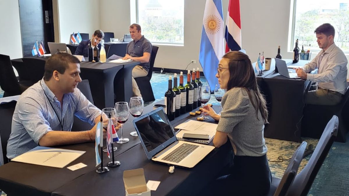 Cinco bodegas de Mendoza expusieron sus vinos ante más de 70 empresarios centroamericanos.