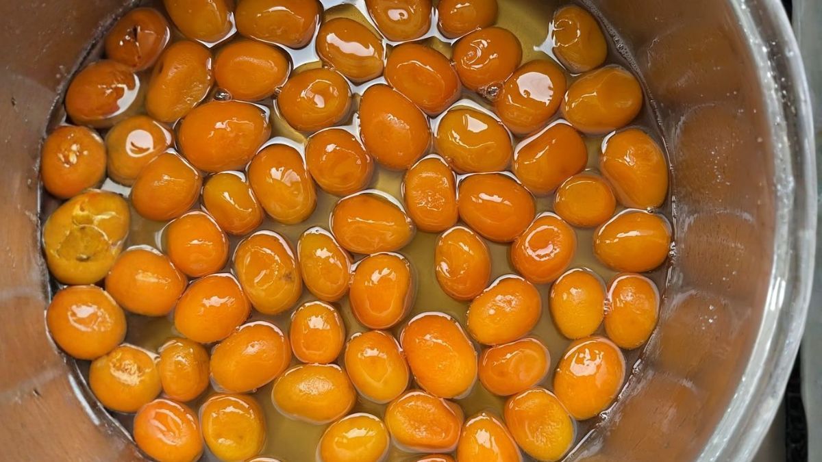 Quinotos en almíbar.