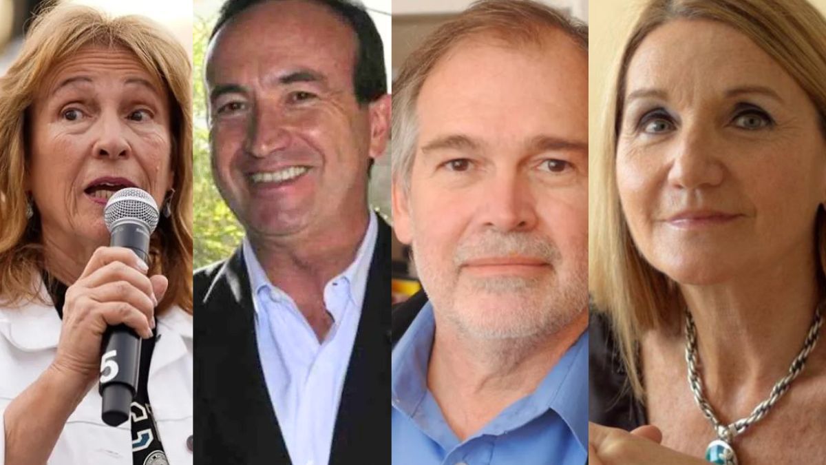Esther Sanchez, Gabriel Fidel, Javier Ozollo y Adriana García los candidatos hasta ahora para el rectorado de la UNCuyo.