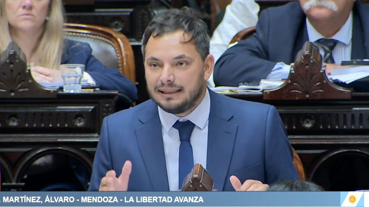 Álvaro Martínez, diputado por Mendoza de La Libertad Avanza. Álvaro Martínez, diputado por Mendoza de La Libertad Avanza.