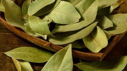¿Dónde colocar hojas de laurel para atraer la abundancia?