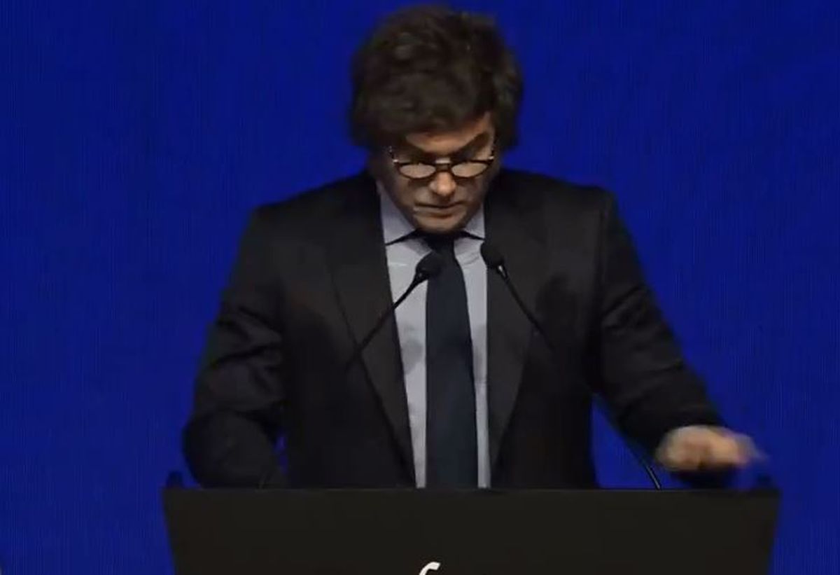 Javier Milei cuestionó a Raúl Alfonsín. Javier Milei cuestionó a Raúl Alfonsín.