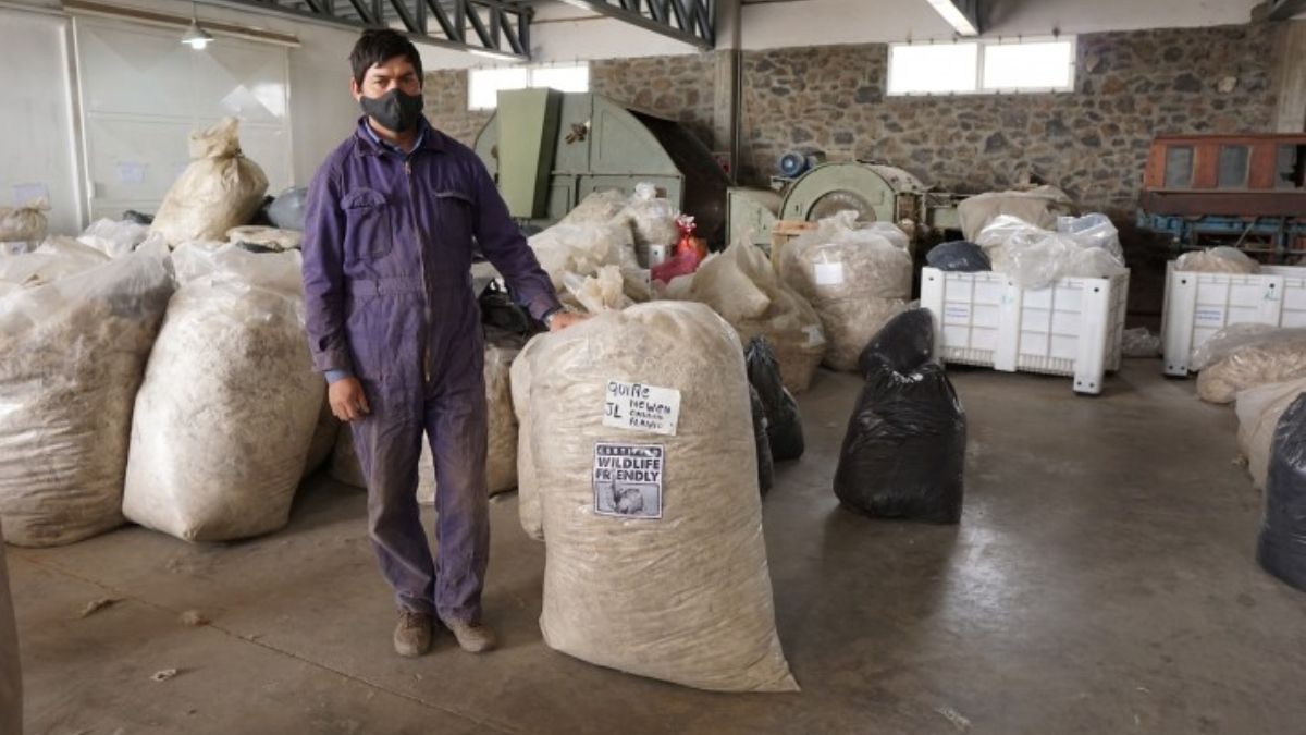 (Foto: Ezequiel Infantino) (Foto: Ezequiel Infantino)