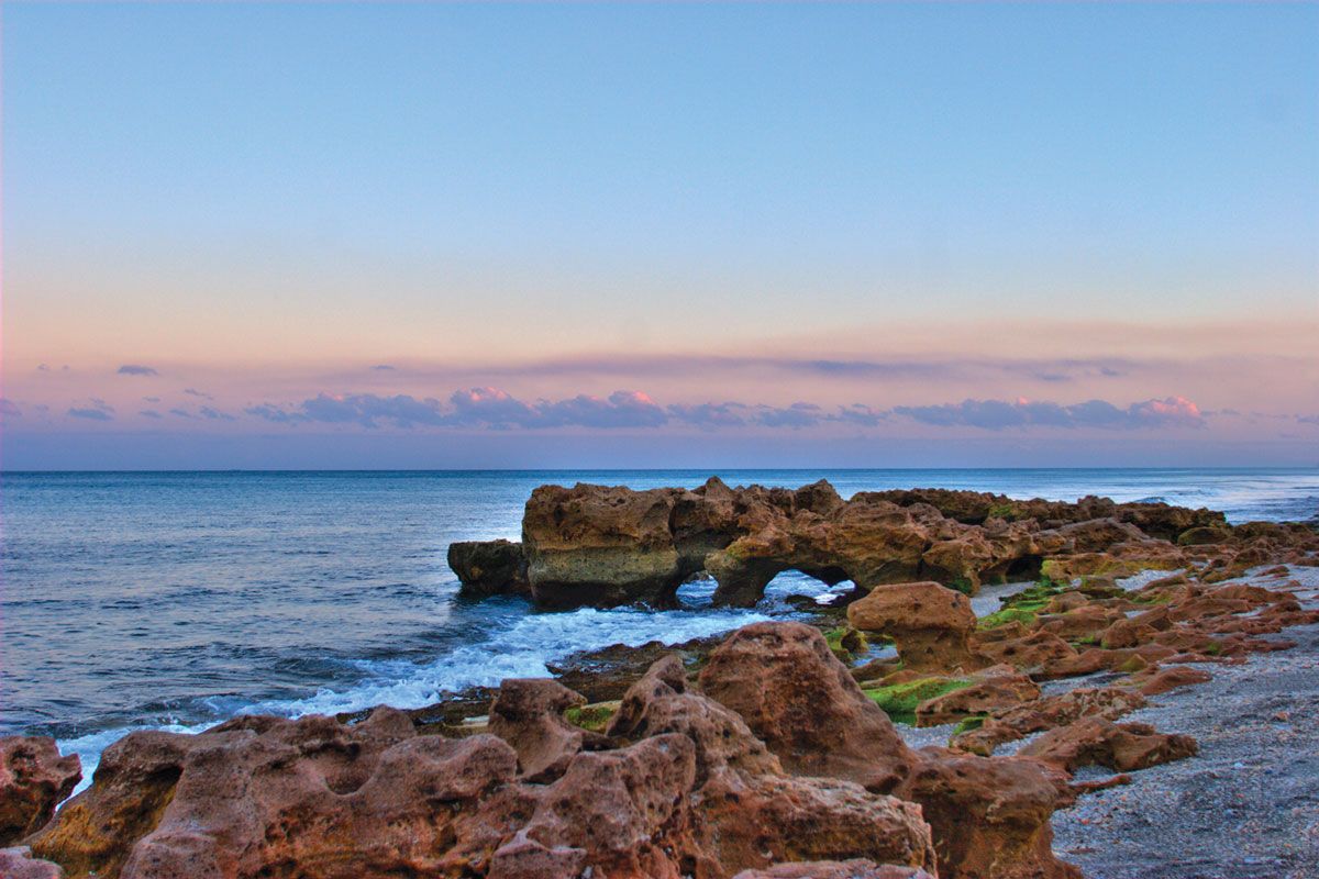 Puedes disfrutar de los paisajes más lindos de Florida.