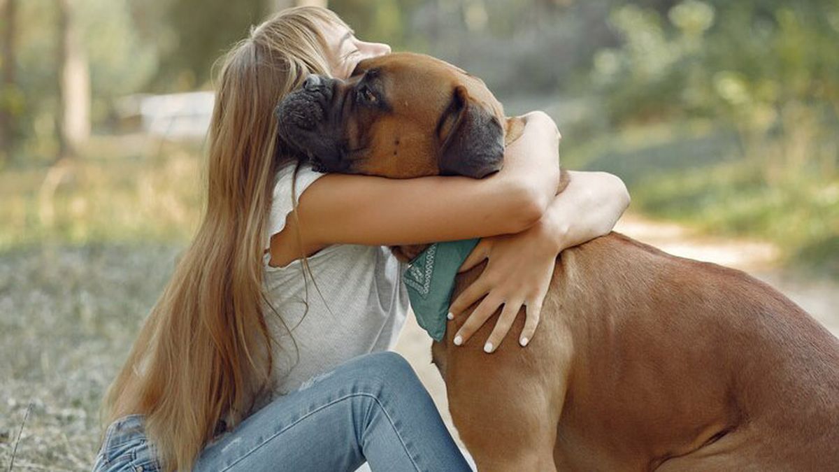 ¿Por qué no se deben abrazar a los perros?. Un estudio científico no lo recomienda. ¿Por qué no se deben abrazar a los perros?. Un estudio científico no lo recomienda.