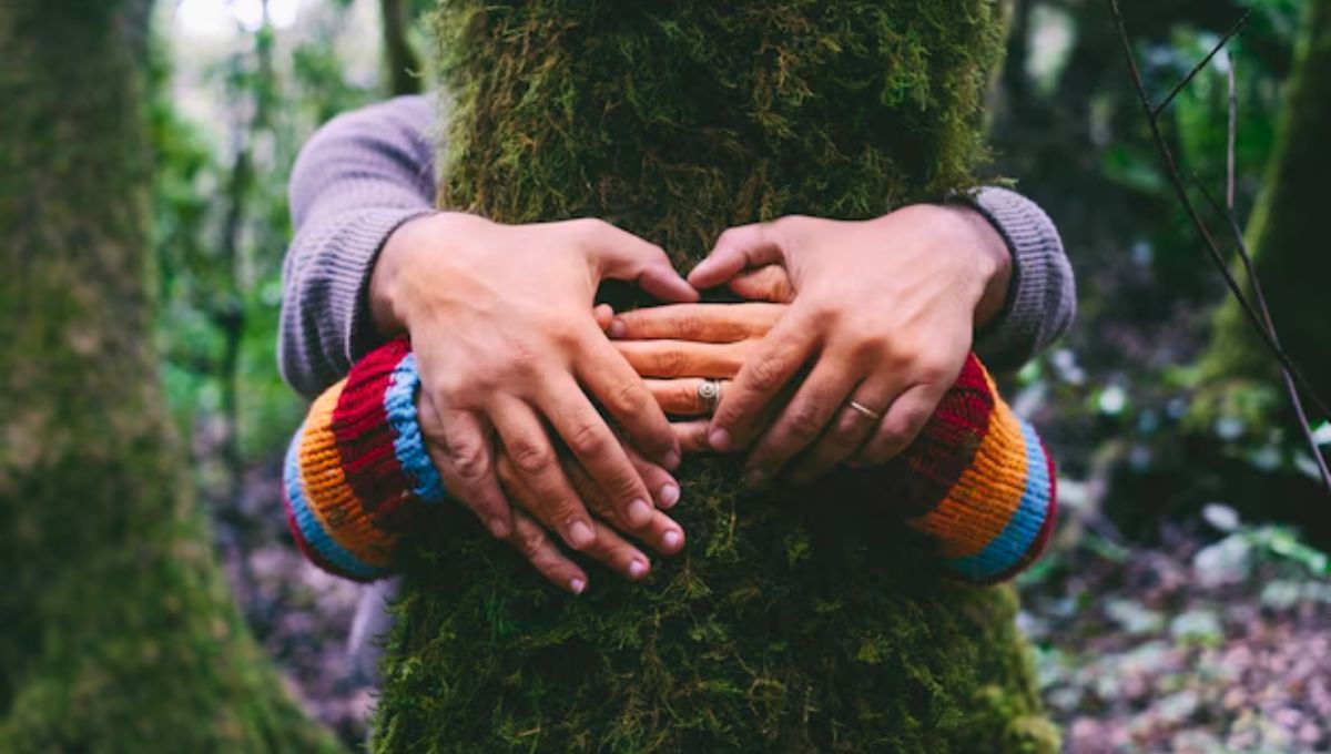 Ni humanos, ni therians: los