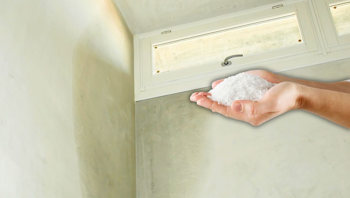 Un truco con sal para combatir la humedad.&nbsp;