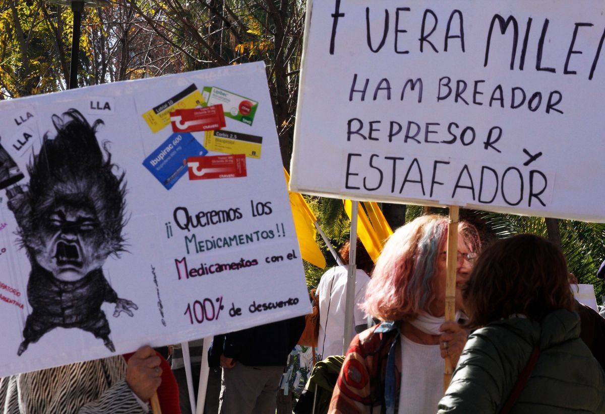 Carteles contra Milei en la marcha de los jubilados. Carteles contra Milei en la marcha de los jubilados.
