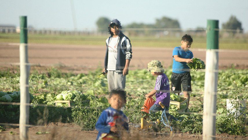 En Mendoza, se detectaron 62 casos de trabajo infantil en el último año