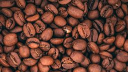 Café, salud y nutrición: la variedad prohibida en todo el mundo