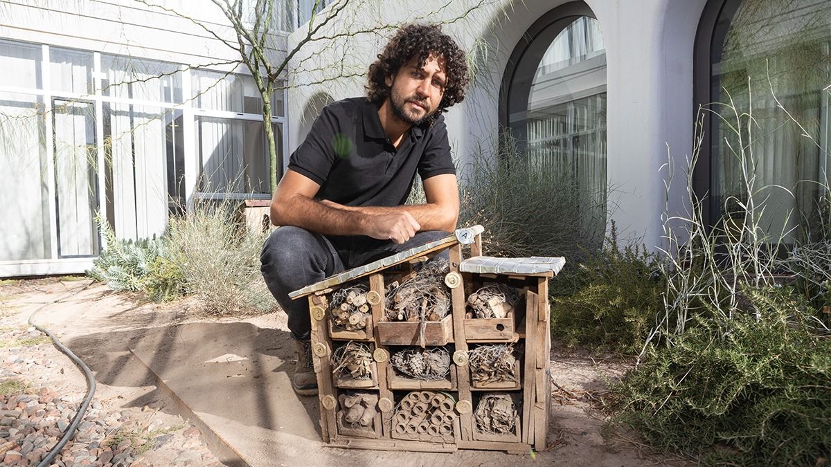 Hoteles de insectos en bodega Argento. Hoteles de insectos en bodega Argento.