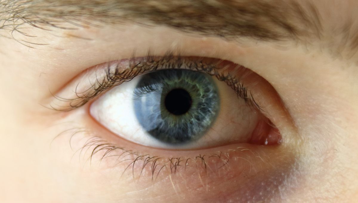 Ojos azules. Ojos azules.