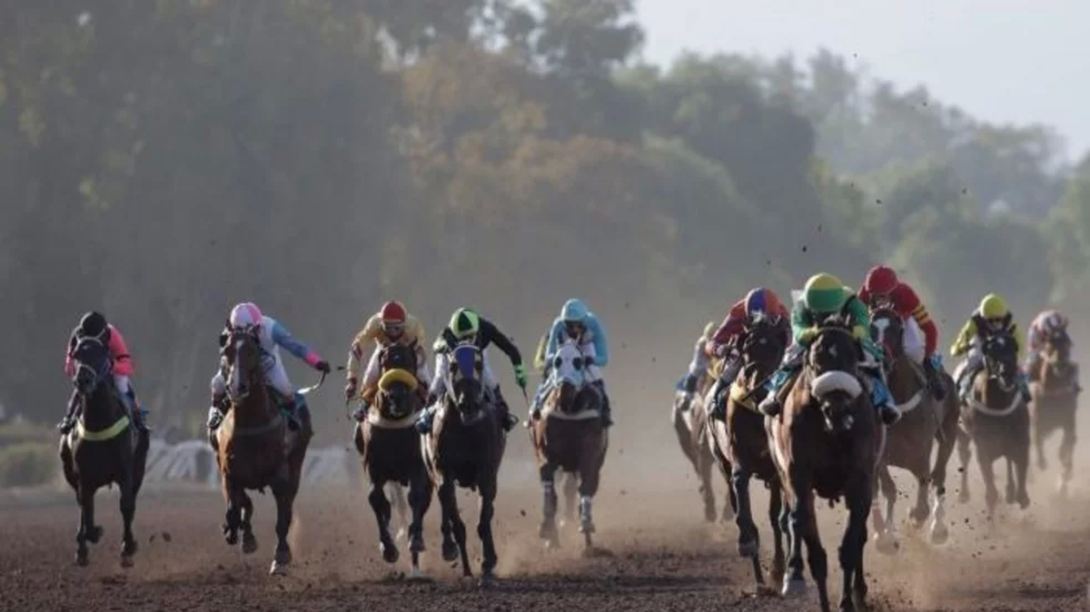 El próximo domingo 9 de marzo llega la primera carrera grande del año en el Hipódromo de Mendoza: el Clásico vendimia Copa Canal 7