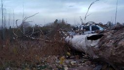 Un hombre murió aplastado por un árbol que cayó a causa del viento