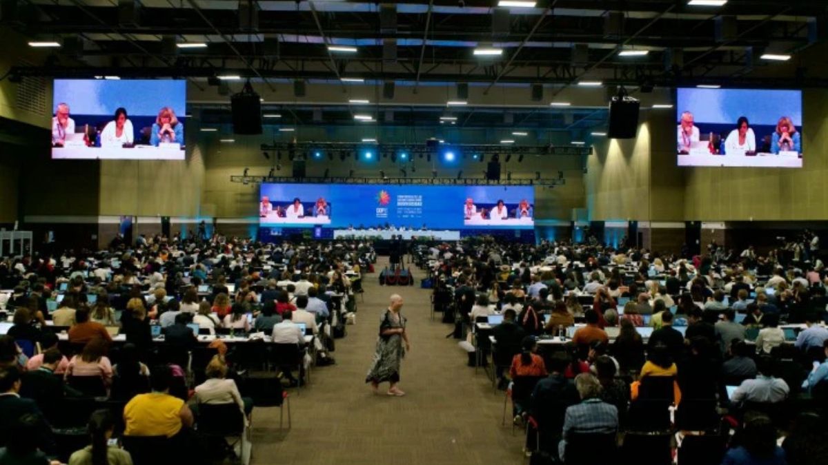 La plenaria final de la COP16 se extendió por más de 10 horas, desde las 10 p.m. del viernes, hasta las 8:30 a.m. del sábado. / Foto: UN Biodiversity - CDB La plenaria final de la COP16 se extendió por más de 10 horas, desde las 10 p.m. del viernes, hasta las 8:30 a.m. del sábado. / Foto: UN Biodiversity - CDB