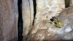 Esta cueva de México guardaba algunos secretos.