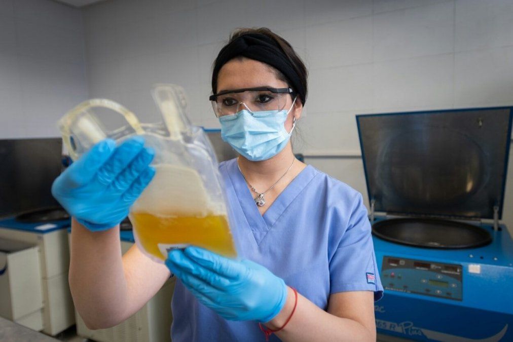 El suero equino y el plasma se puede usar para pacientes cuyos casos hayan sido confirmados como positivos de coronavirus.