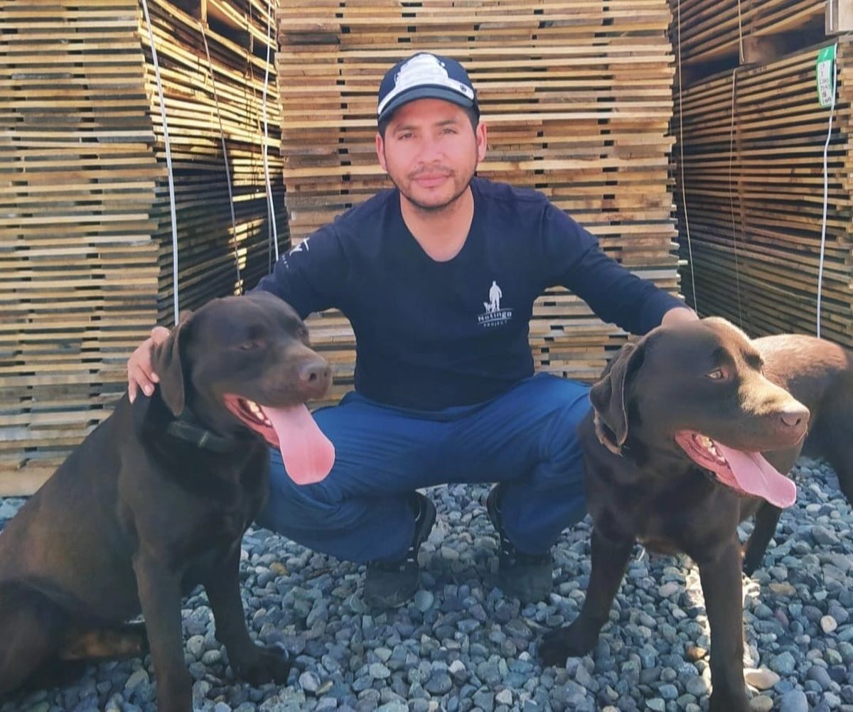 Marco Briceño es el entrenador de perros de este innovador programa que aporta al control de calidad en la industria del vino. Marco Briceño es el entrenador de perros de este innovador programa que aporta al control de calidad en la industria del vino.