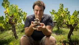 Alejandro Vigil, enólogo y empresario bodeguero. Quiso saber qué impuestos paga la minería y generó un debate en redes. Alejandro Vigil, enólogo y empresario bodeguero. Quiso saber qué impuestos paga la minería y generó un debate en redes.