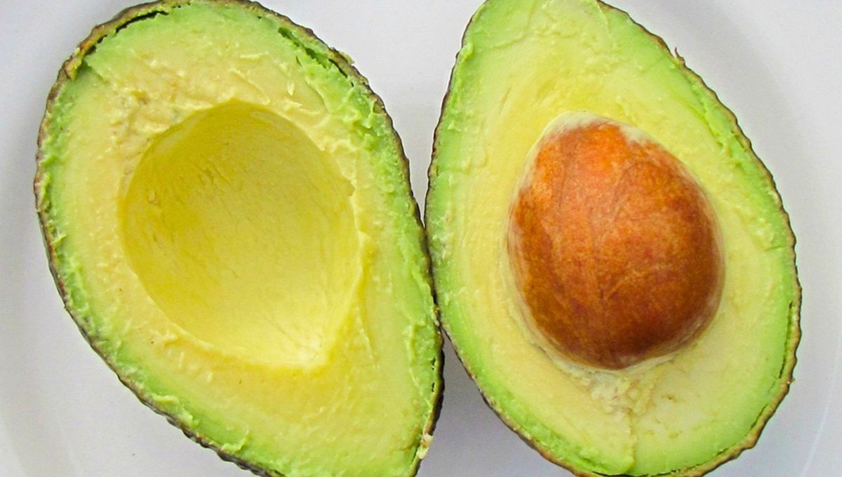 La palta puede mantenerse en agua durante  2 a 3 días en condiciones óptimas.