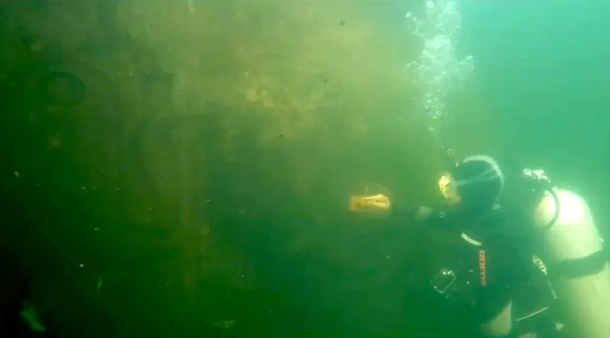 El descubrimiento sorprendió a la comunidad arqueológica. El descubrimiento sorprendió a la comunidad arqueológica.