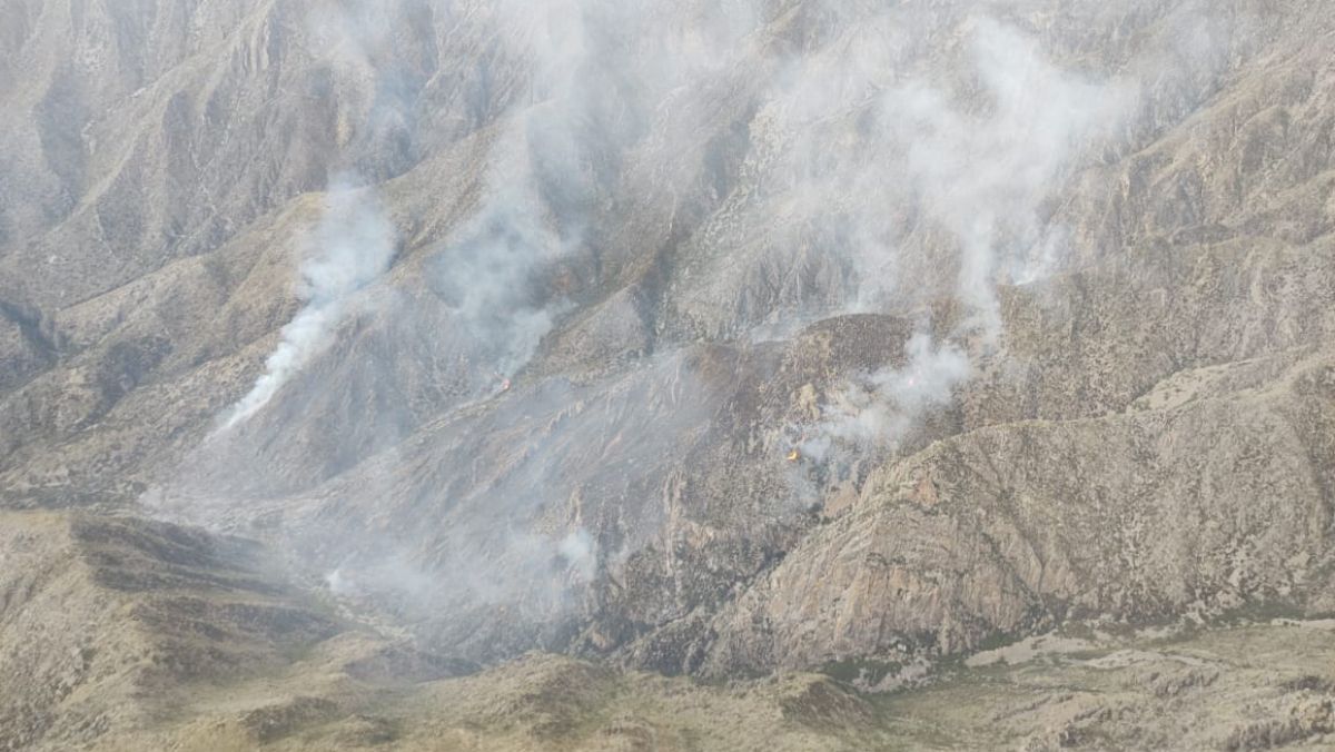 Vista aérea de los cuatro focos del incendio forestal ubicado en la ladera de un cerro de la precordillera, cañadón mediante, lo que impidió la llegada de autobombas y otros vehículos terrestres a la zona siniestrada.