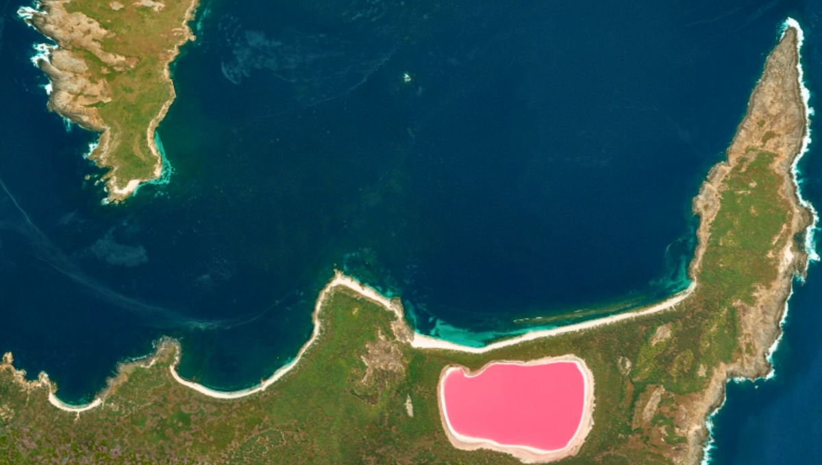 El Lago Hillier es una de las joyas naturales más enigmáticas de Australia y del mundo. El Lago Hillier es una de las joyas naturales más enigmáticas de Australia y del mundo.