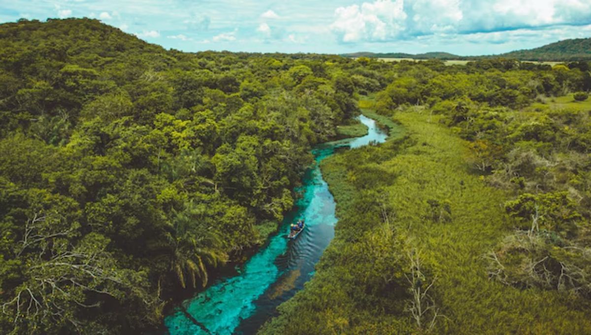 El río más transparente del planeta Tierra está en América Latina: un paraíso natural