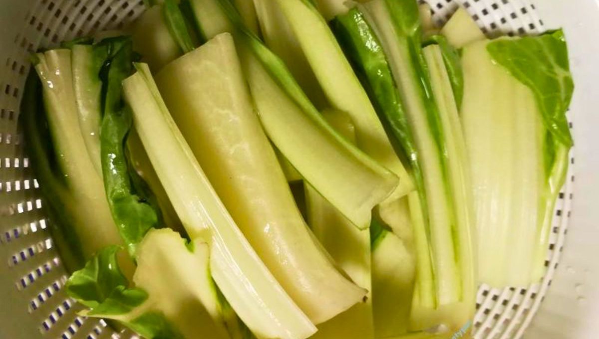 Pencos o tallos de acelga.