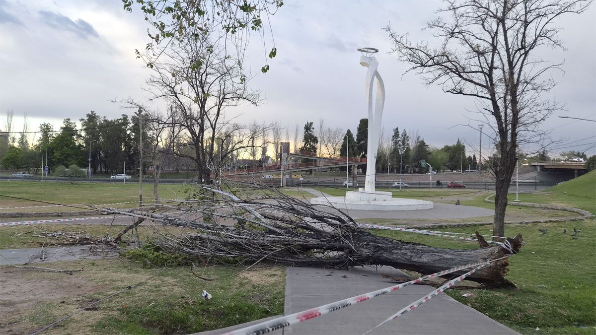 El viento Zonda ya está causando estragos en varios sitios de Mendoza. Foto: Paula Jalil (Radio Nihuil).