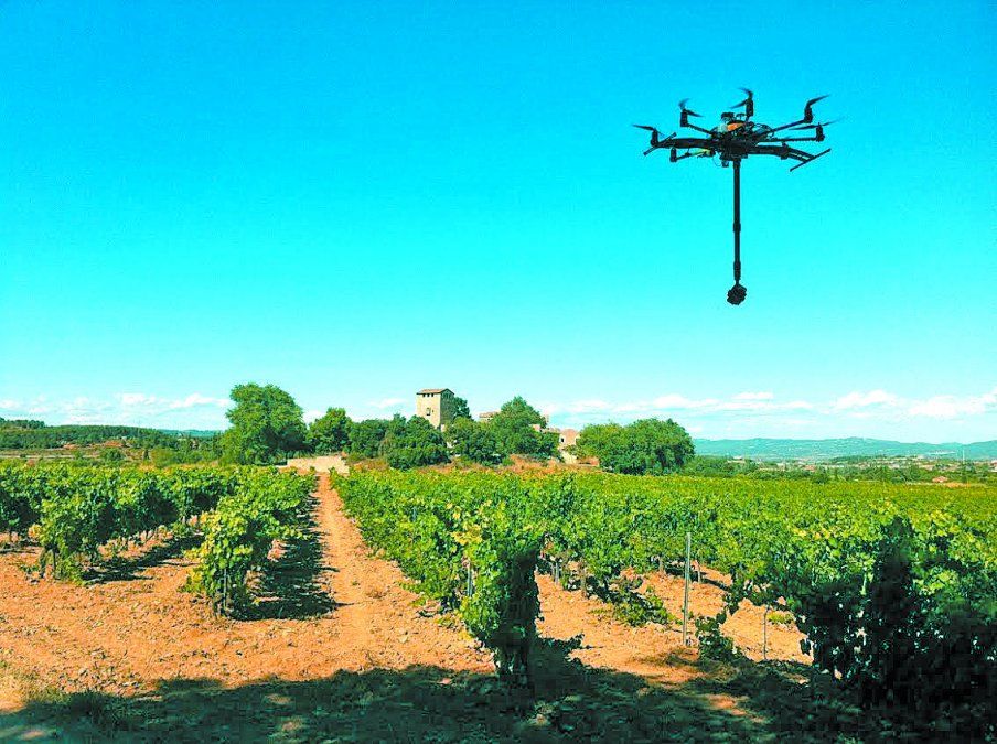 El INTA utiliza un dron para estudiar los viñedos
