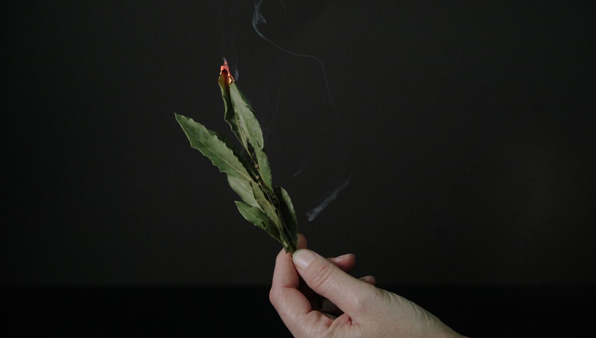 Descubre por qué debes quemar hojas de laurel en septiembre