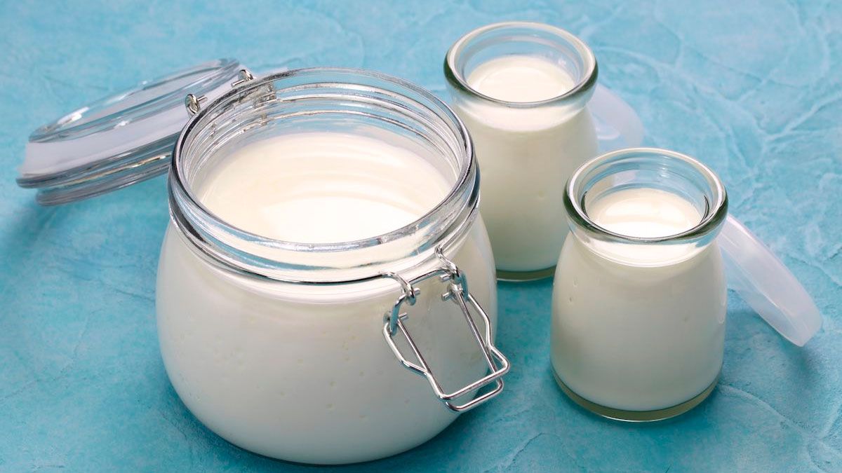 El yogur natural casero no solo que puede llegar a ser mucho más sabroso, si no que también es mucho más económico. El yogur natural casero no solo que puede llegar a ser mucho más sabroso, si no que también es mucho más económico.