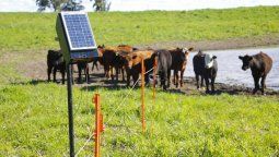 Boyereos con energía solar. Mendoza adhirió al programa del INTA para productores agroganaderos.&nbsp;