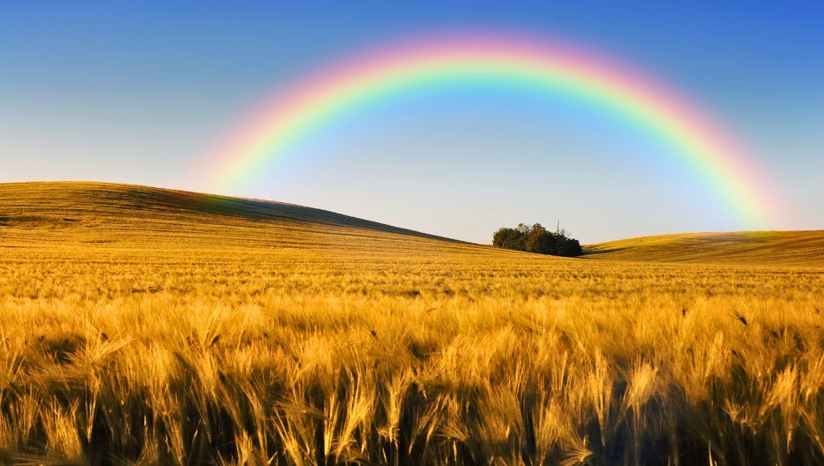 El mito del origen del arcoíris: la leyenda detrás de un fenómeno único en el  cielo El mito del origen del arcoíris: la leyenda detrás de un fenómeno único en el  cielo