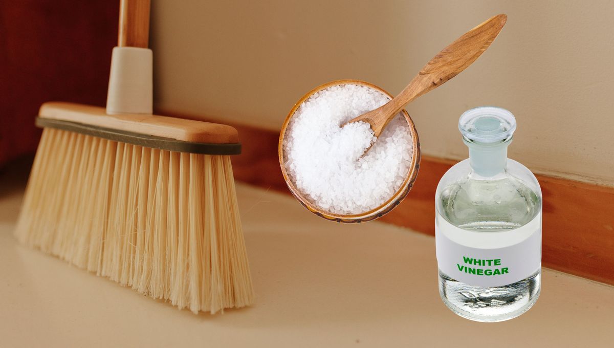 Además, las escobas esconden y reúnen mugre, humedad y gérmenes que se quedan entre las cerdas por algún tiempo, listos para ensuciar y contaminar los alrededores. Además, las escobas esconden y reúnen mugre, humedad y gérmenes que se quedan entre las cerdas por algún tiempo, listos para ensuciar y contaminar los alrededores. 