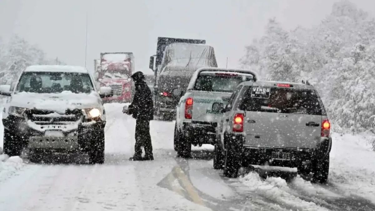 Nevadas en la Patagonia.