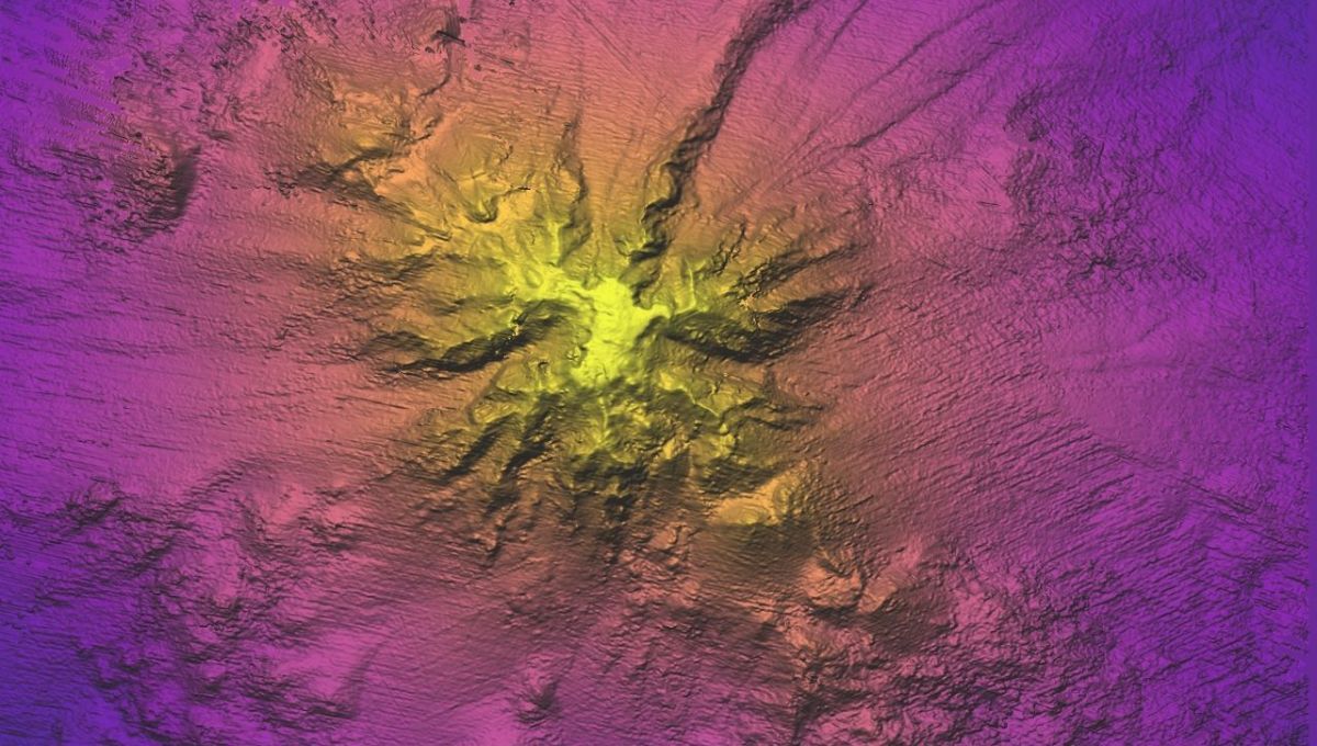 Ecosistemas ocultos: la montaña submarina que alberga biodiversidad única en América del Sur. Ecosistemas ocultos: la montaña submarina que alberga biodiversidad única en América del Sur.