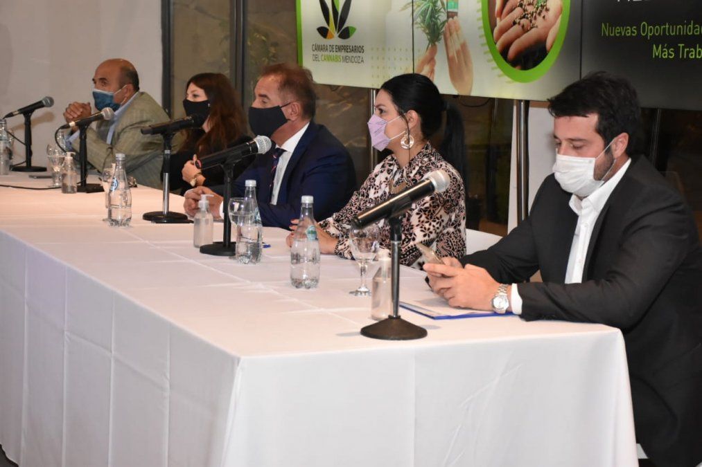 Santa Rosa albergará la primera iniciativa para desarrollar la industria del cannabis medicinal en Mendoza. Por ahora son sólo tres hectáreas, pero se sumará también un laboratorio para investigación que también funcionará en ese departamento. 