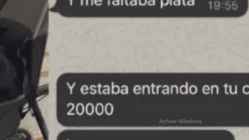 Un gato se metió a la casa del vecino y le robó 20 