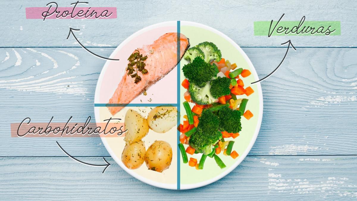 Así deben dividirse los alimentos en un plato para una buena dieta. Así deben dividirse los alimentos en un plato para una buena dieta.